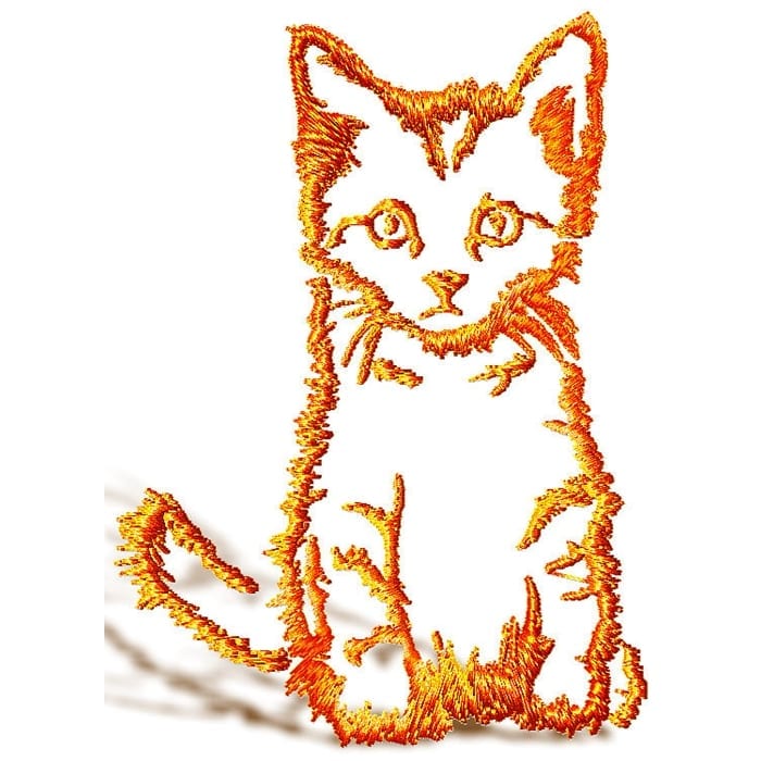 Kitten and Cats