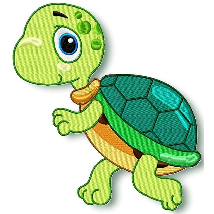Look at me! Turtle