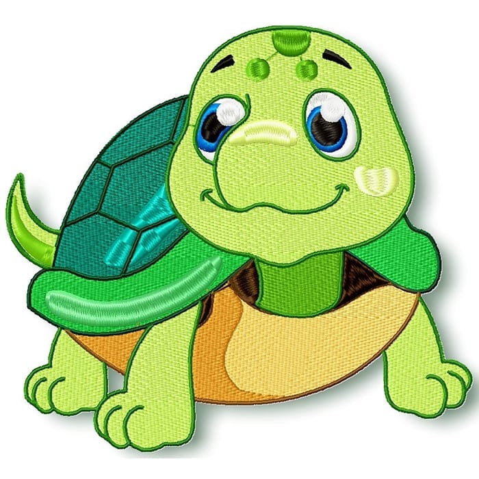 Look at me! Turtle