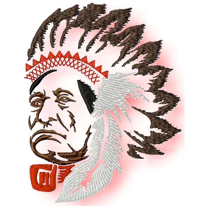 Native American Profile