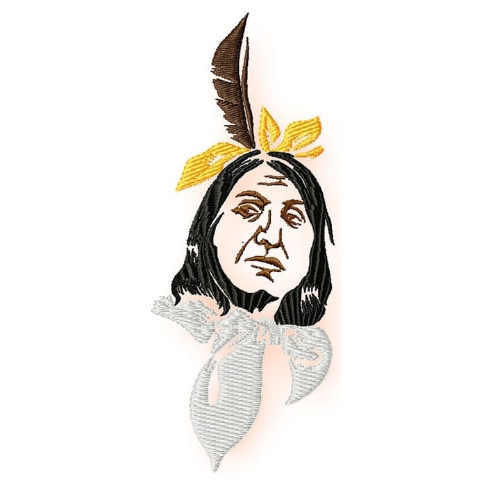 Native American Profile