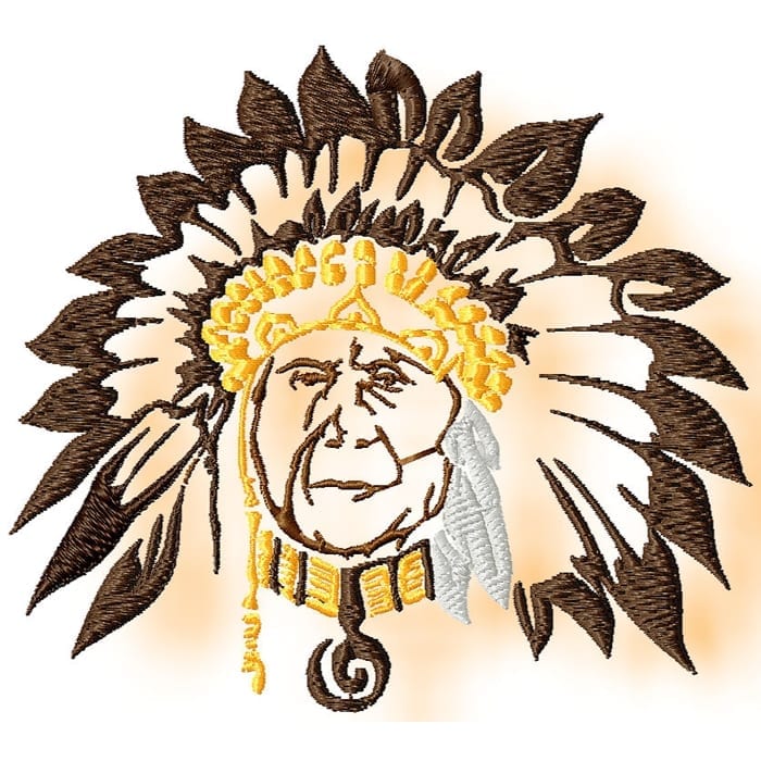 Native American Profile