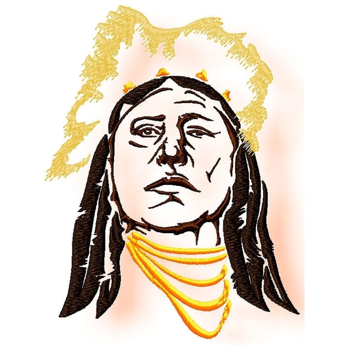 Native American Profile
