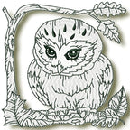 Owls at Night
