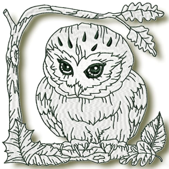 Owls at Night