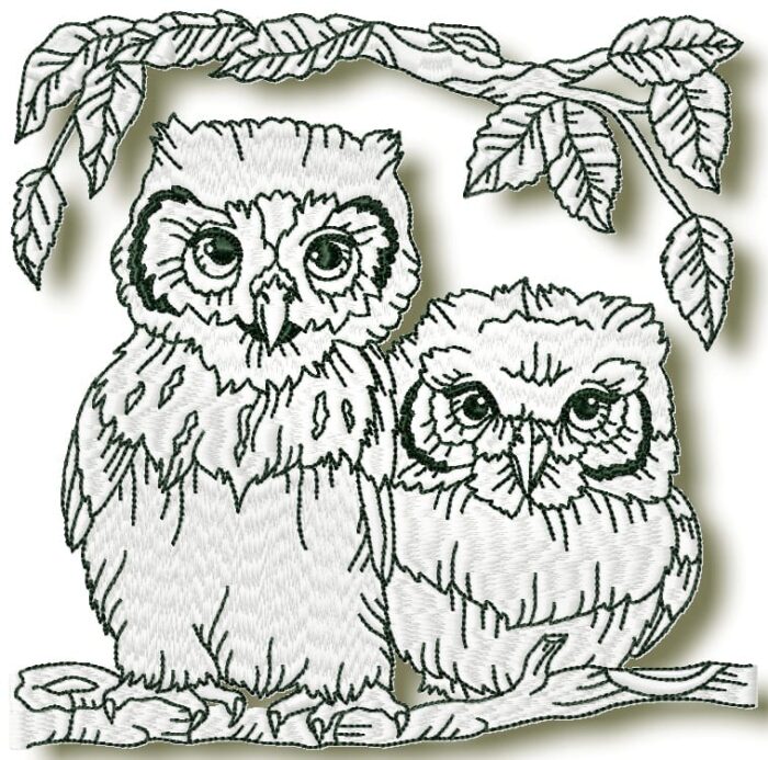 Owls at Night