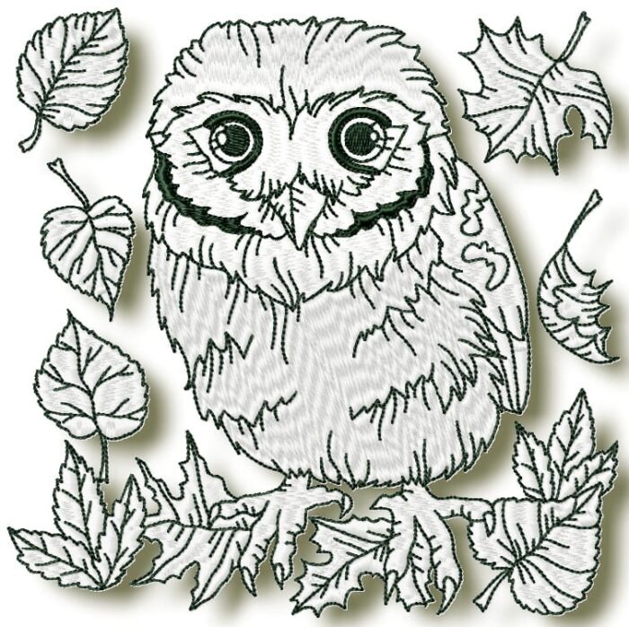 Owls at Night