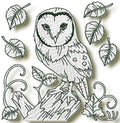 owls at night