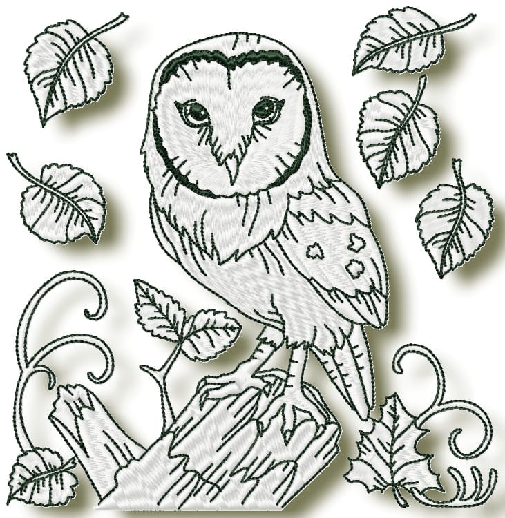 owls at night