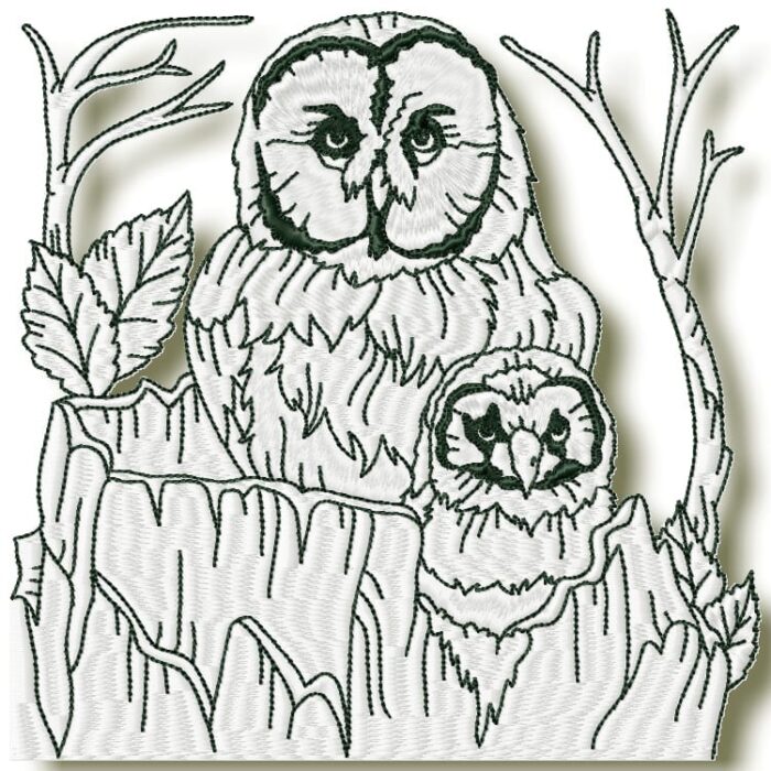 Owls at Night