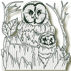 Owls at Night