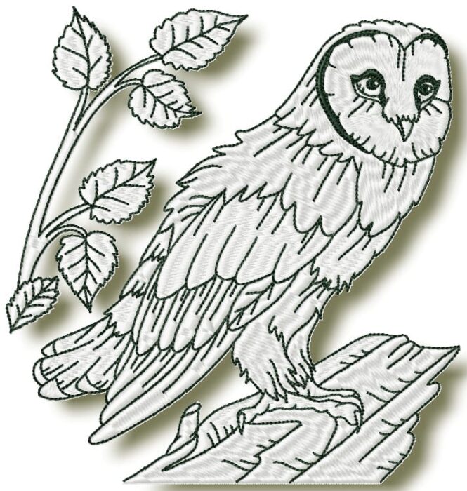 Owls at Night