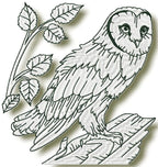 Owls at Night
