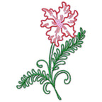 Paradise Flowers