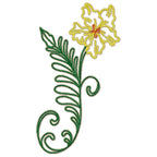 Paradise Flowers