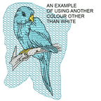 Parrots Outline Set