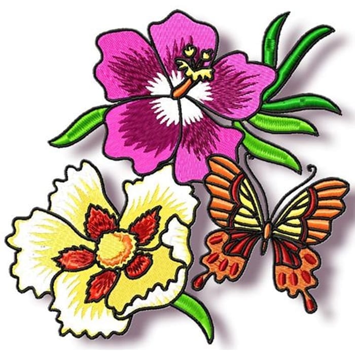 Passionflower and Butterfly