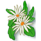 Pretty Flowers