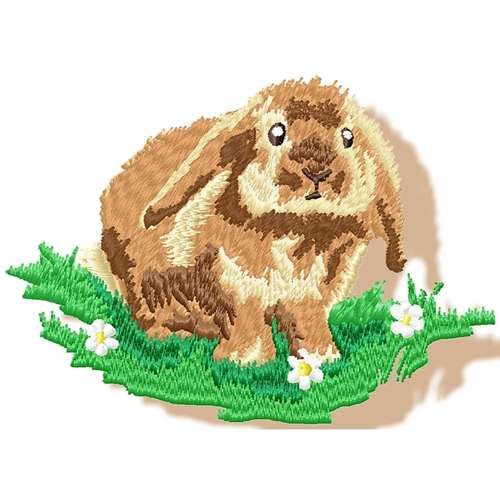 Realistic Rabbit