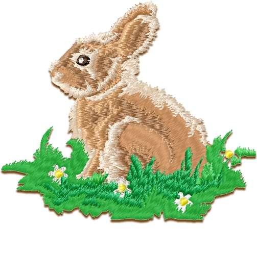 Realistic Rabbit