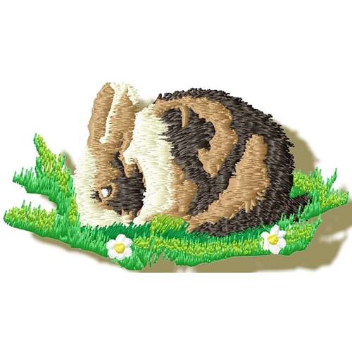 Realistic Rabbit