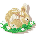 Realistic Rabbit