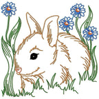 Rabbits Colour Line