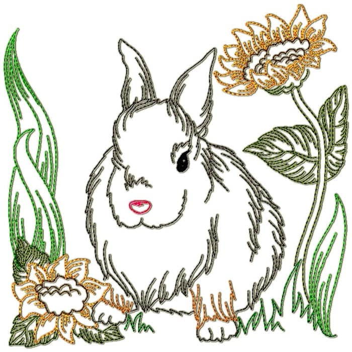 Rabbits Colour Line