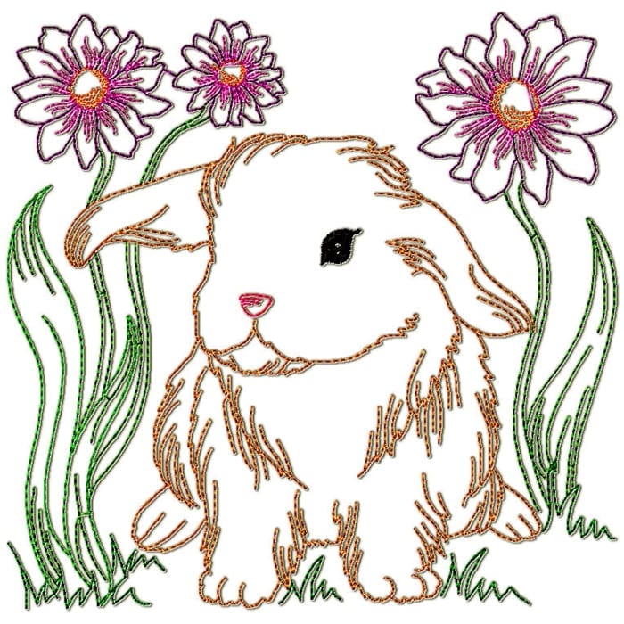 Rabbits Colour Line