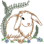 Rabbits Colour Line