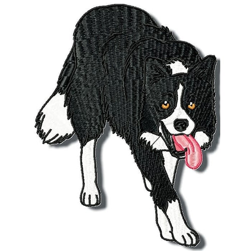 Border Collie Realistic