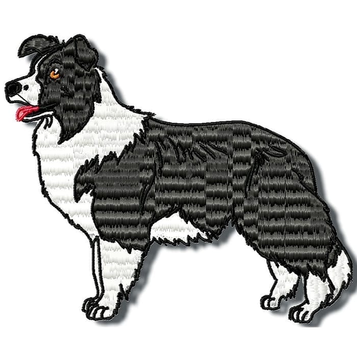 Border Collie Realistic