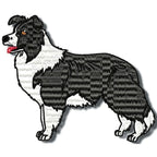 Border Collie Realistic