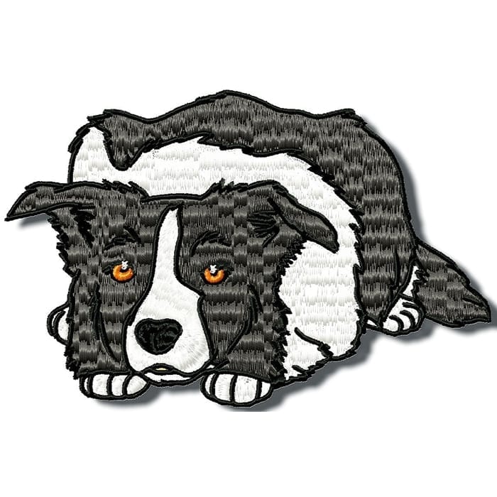 Border Collie Realistic