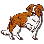 Border Collie Realistic
