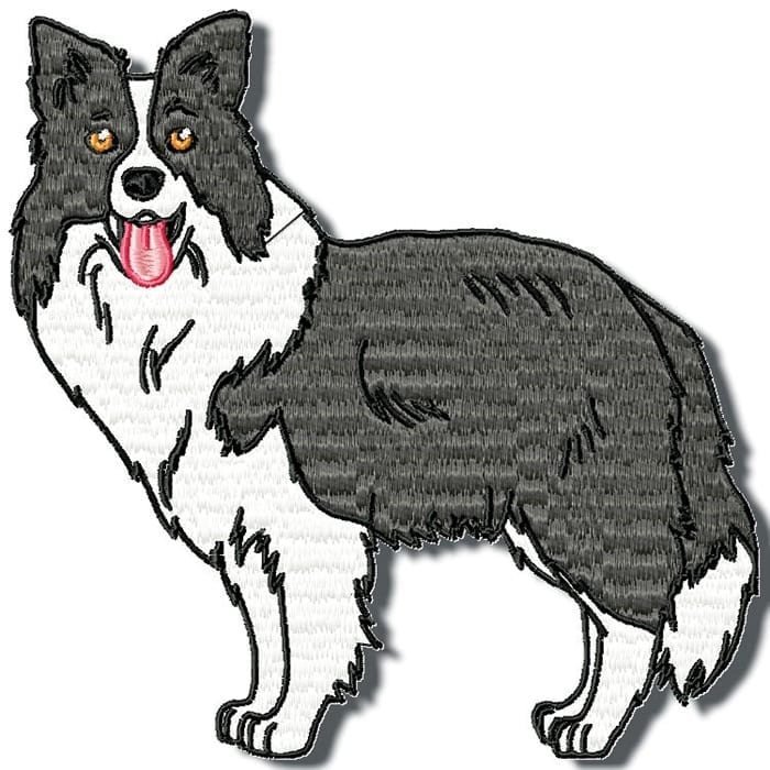 Border Collie Realistic