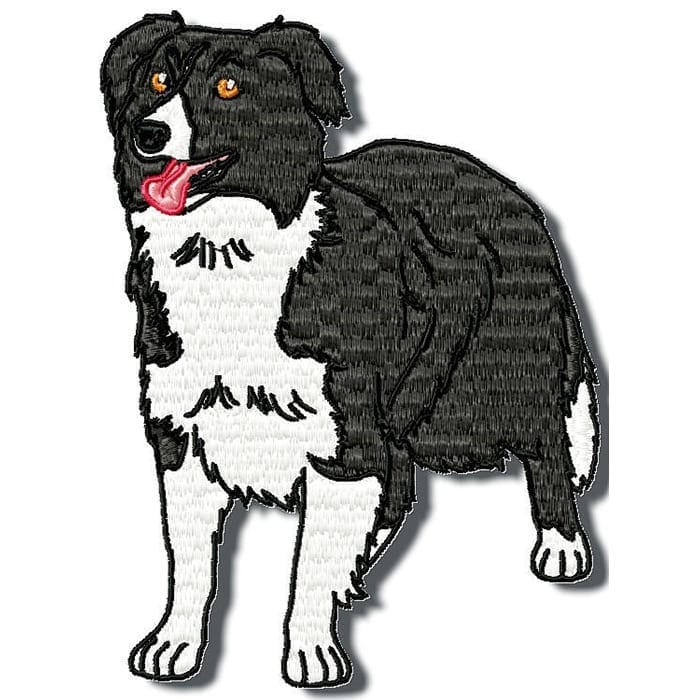 Border Collie Realistic