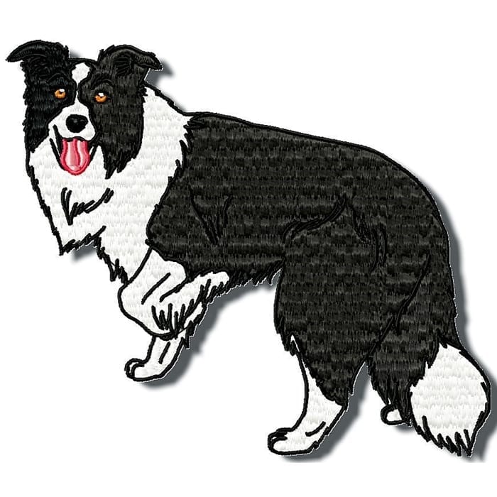 Border Collie Realistic