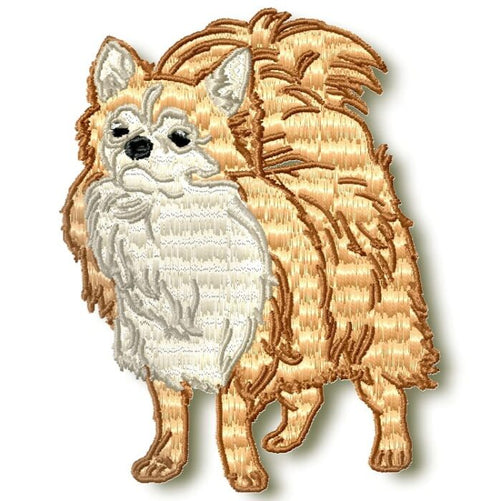 Chihuahua Realistic