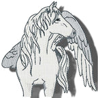 Realistic Pegasus
