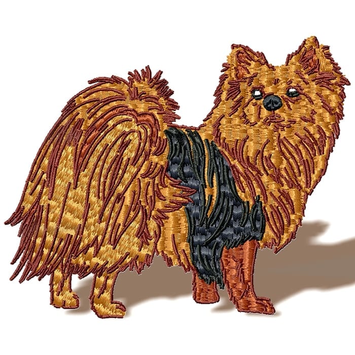 Pomeranian Realistic