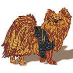 Pomeranian Realistic