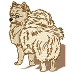 Pomeranian Realistic