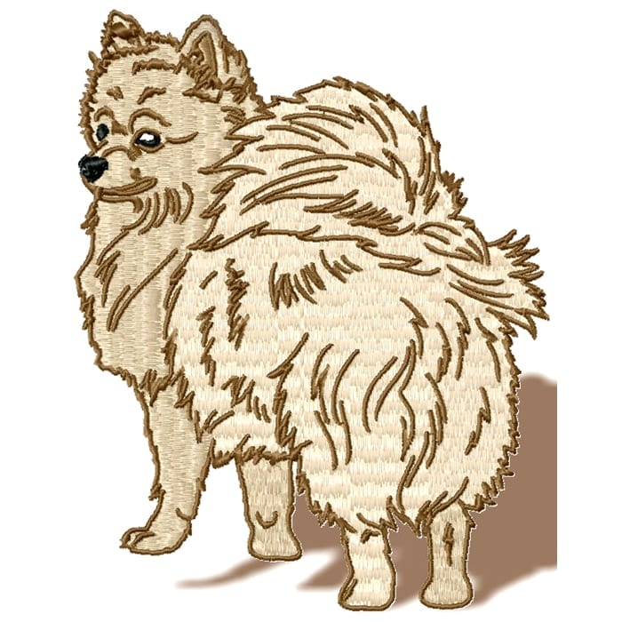 Pomeranian Realistic