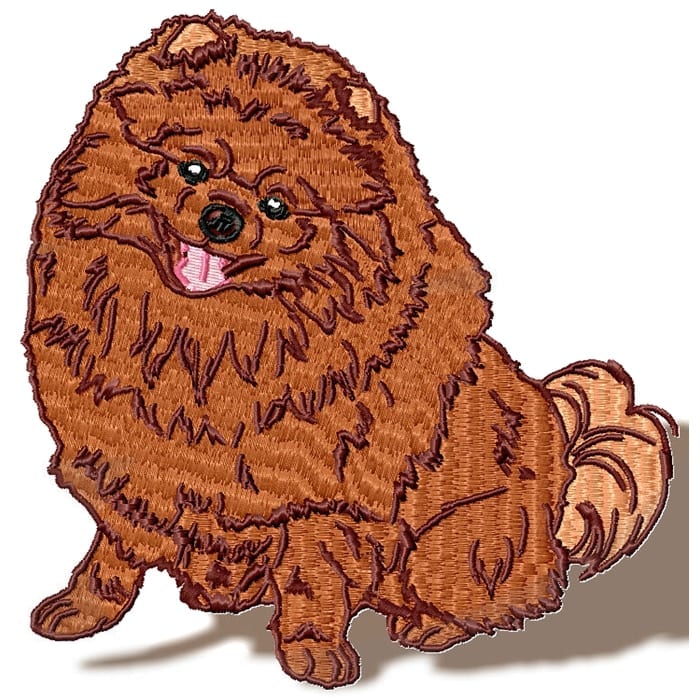 Pomeranian Realistic