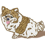 Pomeranian Realistic