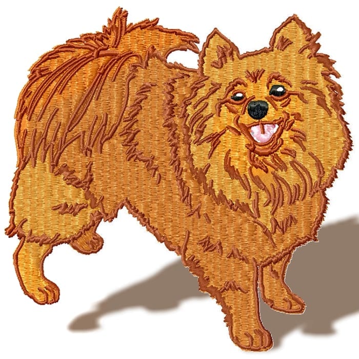 Pomeranian Realistic