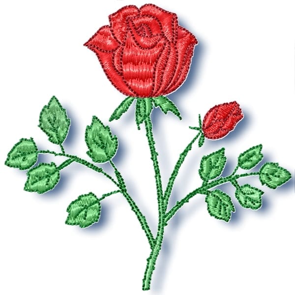 Roses