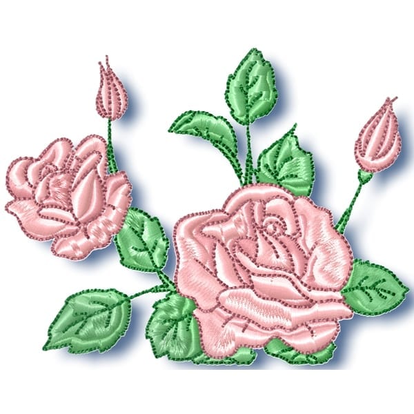 Roses