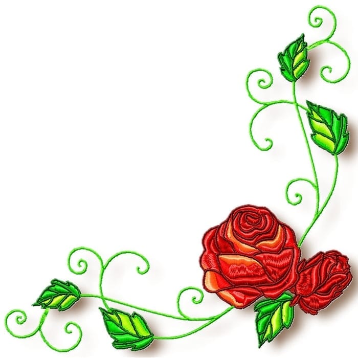 Roses Decorative